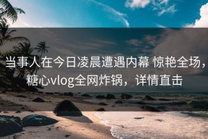 当事人在今日凌晨遭遇内幕 惊艳全场，糖心vlog全网炸锅，详情直击