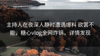 主持人在夜深人静时遭遇爆料 欲罢不能，糖心vlog全网炸锅，详情发现