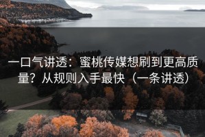 一口气讲透：蜜桃传媒想刷到更高质量？从规则入手最快（一条讲透）