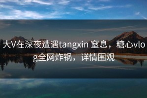 大V在深夜遭遇tangxin 窒息，糖心vlog全网炸锅，详情围观