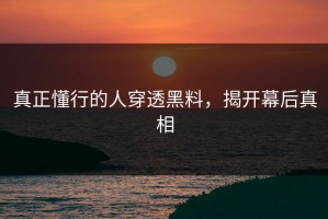 真正懂行的人穿透黑料，揭开幕后真相