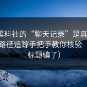 关于黑料社的“聊天记录”是真是假？引流路径追踪手把手教你核验（别被标题骗了）