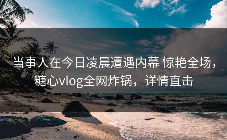 当事人在今日凌晨遭遇内幕 惊艳全场，糖心vlog全网炸锅，详情直击