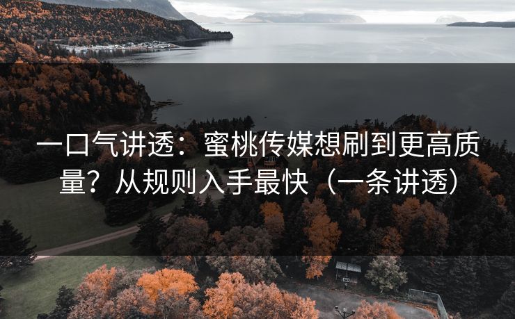 一口气讲透：蜜桃传媒想刷到更高质量？从规则入手最快（一条讲透）