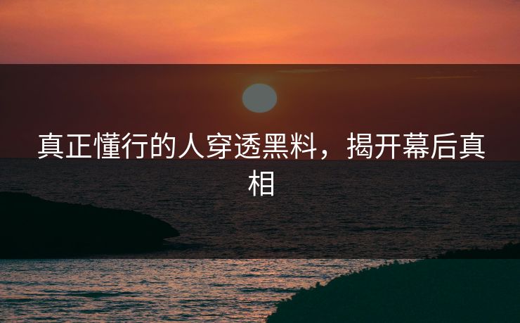 真正懂行的人穿透黑料，揭开幕后真相